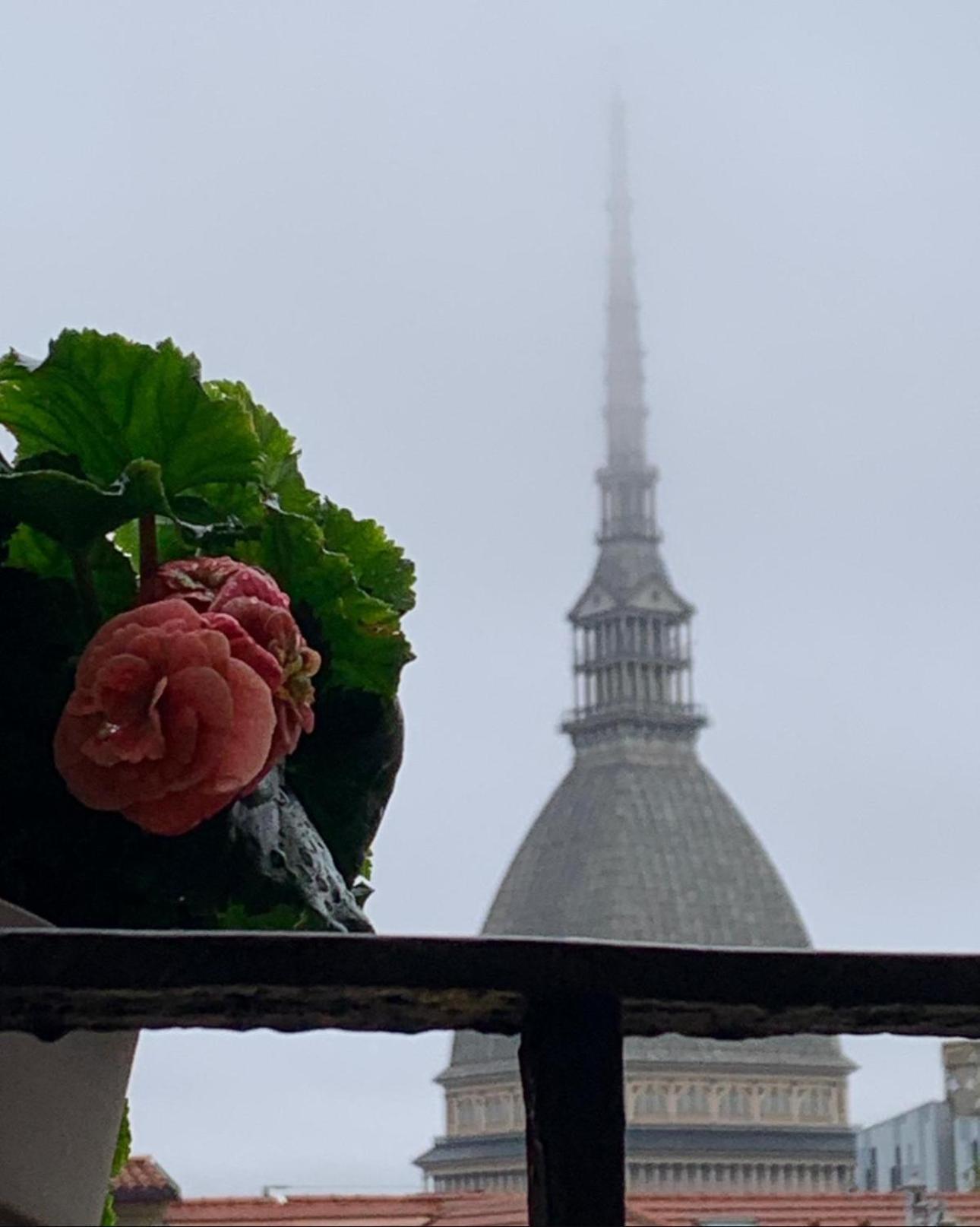 Le Finestre Sulla Mole Apartment Turin Exterior photo